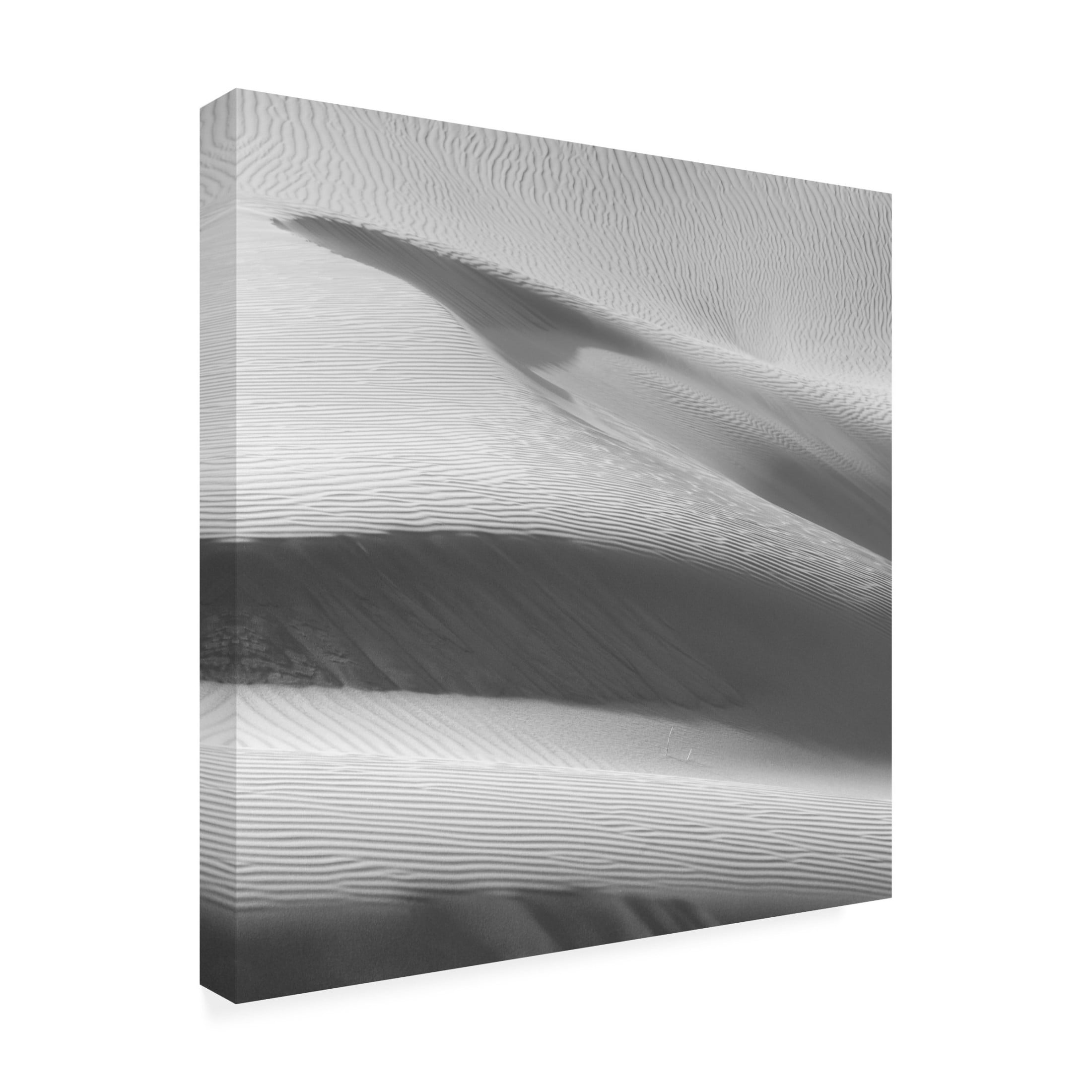 Trademark Fine Art ?i Xiaochun Sand Dunes Canvas Wall Art