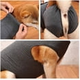 thumbnail image 3 of Combinaison de Récupération Chirurgicale pour Chien Confortable Col Évasé T-Shirt Alternatif pour Chiens (S, Gris), 3 of 7