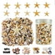 thumbnail image 2 of Juego de conchas marinas de 1500 unidades y estrellas de mar para decoración y manualidades, 2 of 6