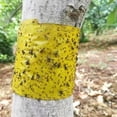 thumbnail image 5 of FindTape Insect Trap Tape [Double Sided]: 8 in. (192mm actual) x 10 in. (Yellow) 20-pack, 5 of 7
