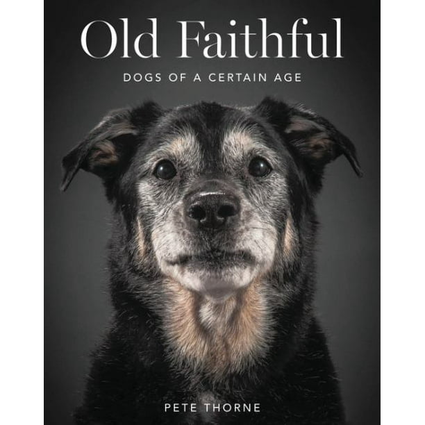 Old Faithful : Dogs of a Certain Age Old Faithful : Dogs of a Certain Age