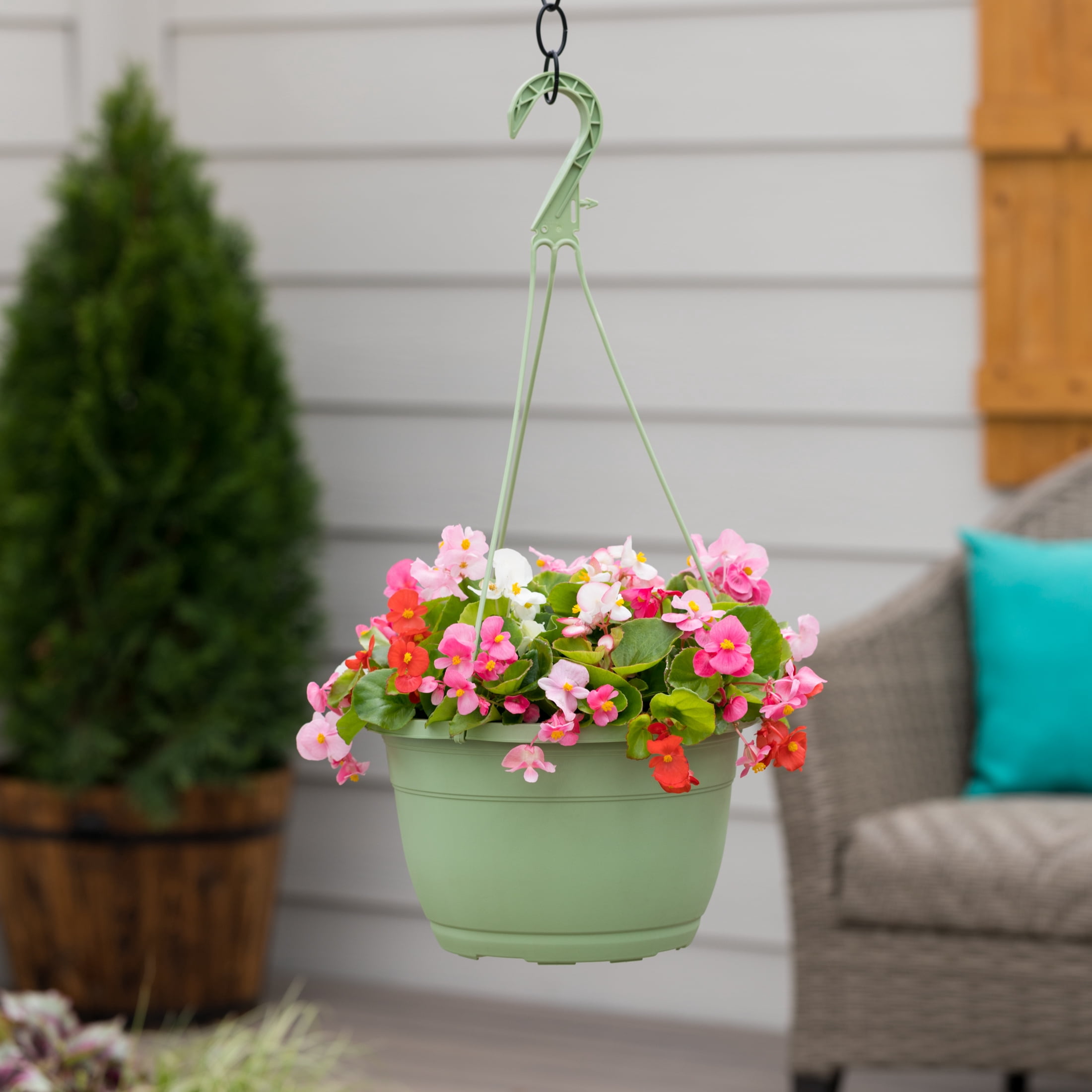 Expert Gardener 1.5gal Multicolor Begonia Live Annual Plant Hanging Basket Shade