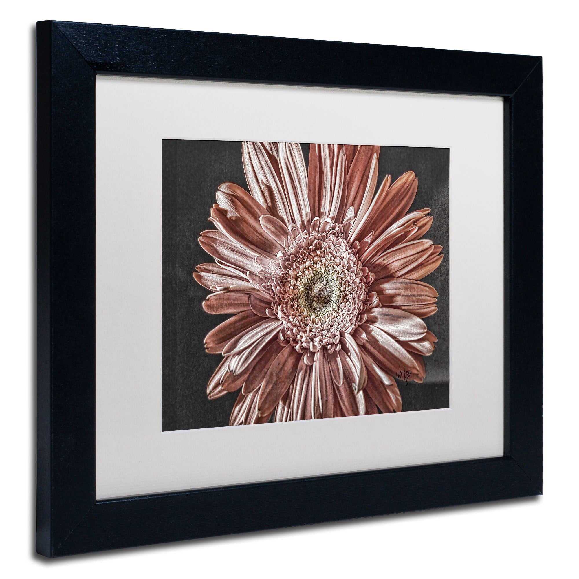 Trademark Fine Art "Silvery Pink" Canvas Art by Lois Bryan, White Matte, Black Frame