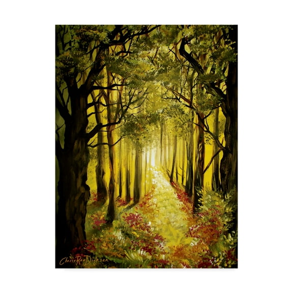 Trademark Fine Art 'Sunlit Forest Path' Canvas Art by Cherie Roe Dirksen