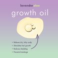 thumbnail image 3 of Eden BodyWorks Lavender Aloe Growth Oil 4 fl. oz., All Hair Type, Moisturizing, Adult, 3 of 7