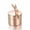 Rose, variant on Angle Cremation Pendant Small Urns For Ashes Keepsake Mini Urns