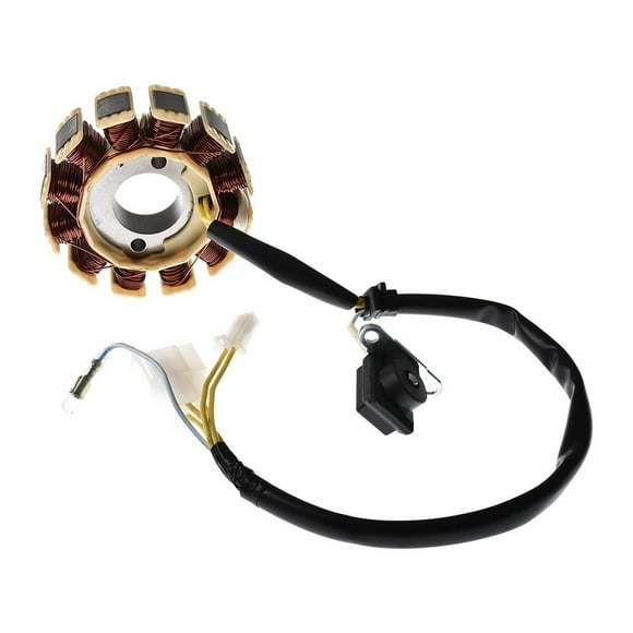 Estator Ws150 Sport 2022 De 2025 Italika Original