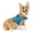 Coastal Blue, variant on Kurgo Dog Harness, Rsg Townie Dog Harness, for Small, Medium & Large Dogs (X-Large, Black)