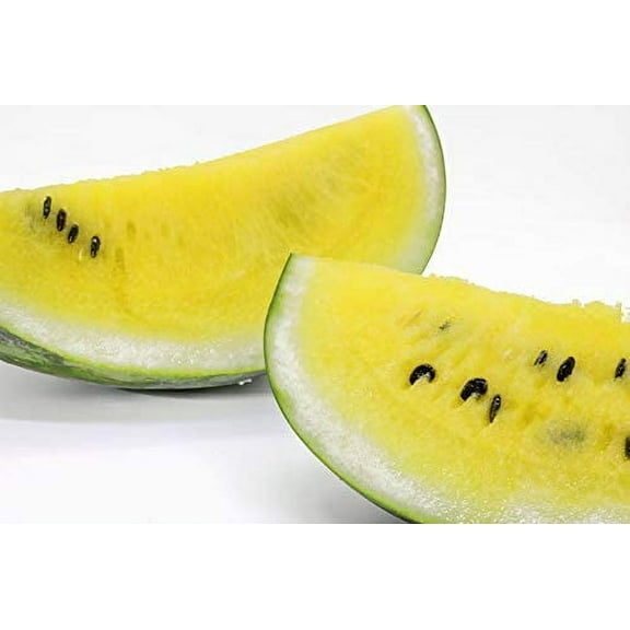 CZ Grain 25 Dwarf Yellow Watermelon Plant Seeds, Easy to Grow
