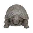 thumbnail image 5 of Northlight 11.75" Polished Gray Turtle Outdoor Garden Statue, 5 of 5