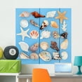 thumbnail image 1 of Seashell Collage Wall Mural by Wallmonkeys Peel and Stick Graphic (36 in H x 36 in W) WM39827, 1 of 4