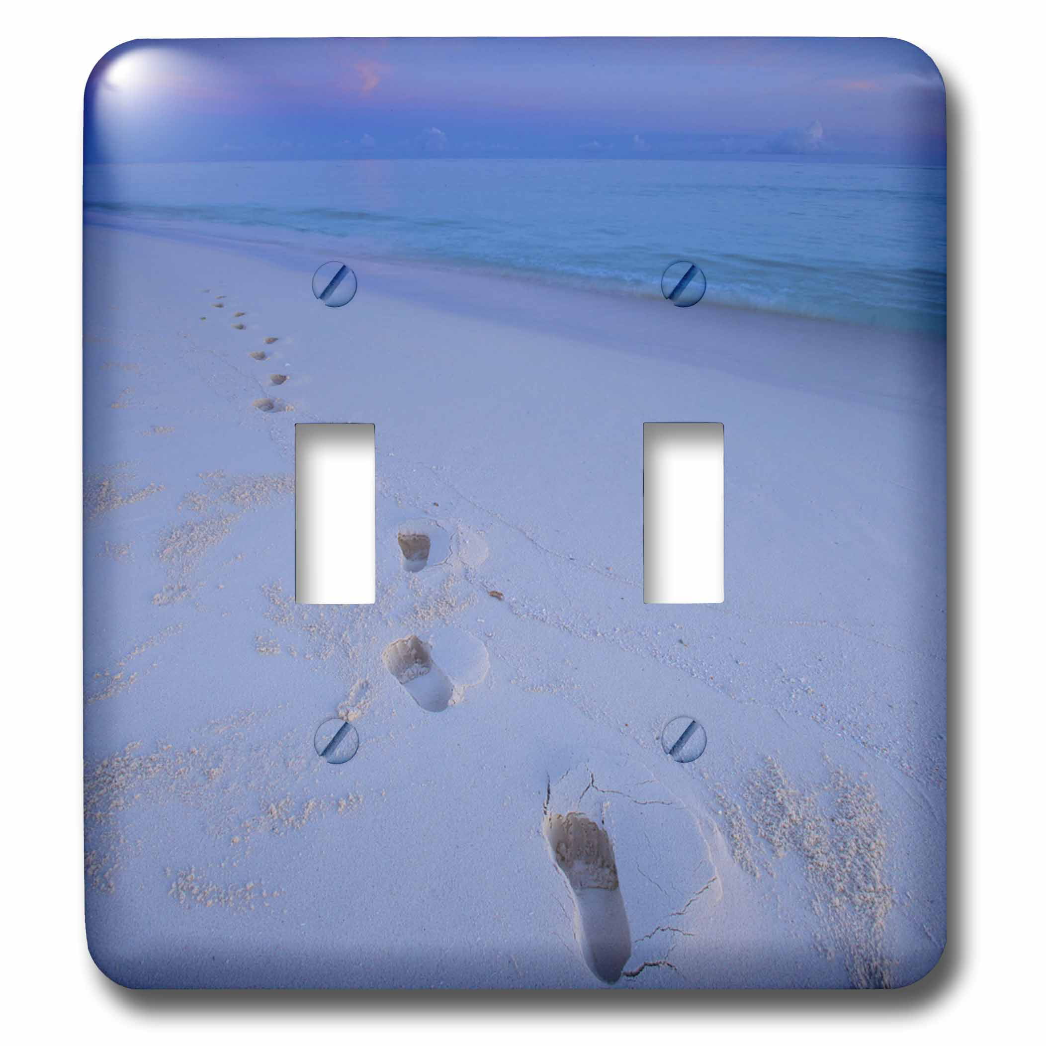 Multi-Color 3dRose lsp_35257_2 Tan Horseshoe Crab On Beach Toggle Switch 