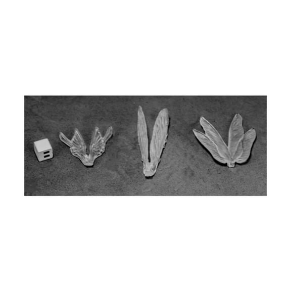 Reaper, Bones Dark Heaven: Clear Wings (3) 77582