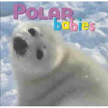 - Polar Babies