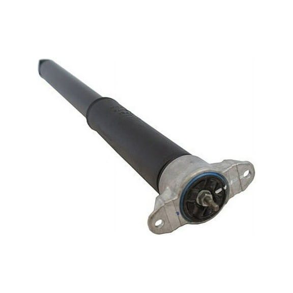Rear Shock Absorber - Compatible with 2012 - 2013 Ford Focus