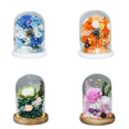 thumbnail image 2 of Eternal Rose In Glass Cover, Preserved Flower, Suitable For Christmas, Wedding, Valentine's Day, Anniversary Desktop Decoration-week, 2 of 3