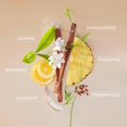 thumbnail image 2 of Bruma para cabello y cuerpo Lake & Skye 44 Sunkissed + Monoi 100 ml, 2 of 8
