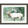 thumbnail image 1 of Great Art Now Linen Pressed Elk by Ann Bailey, Framed Wall Art, 31.5W x 23.5H, 1 of 2