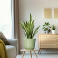 thumbnail image 4 of Ordivic 8 inch Green Ceramic Planter with Drainage Hole and Saucer | Modern Indoor Flower Pot for Snake Plants, Office & Home Decor, 4 of 7