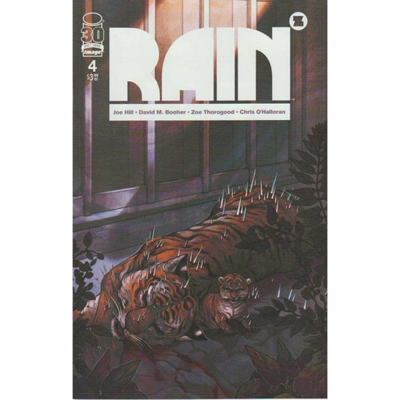 Rain (Image) #4B VF ; Image Comic Book