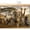 Brown, variant on Africa Savannah Wildlife Cabinet Curtains 10" W x 11" L, Elephant Lion Zebra Leopard Under-Desk Privacy Dust Proof Drape Dishwasher Curtain Sink Skirt for Kitchen Closet Bathroom Laundry