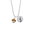thumbnail image 2 of Delight Jewelry Goldtone Translucent Brown Center with Clear Crystals Spinner Silvertone Script Initial Disc - J - Charm Necklace, 20"+3", 2 of 4