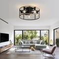 thumbnail image 3 of Sofucor 20" Matte Black Caged Ceiling Fan with 5-Piece Lighting Kit and Remote Control, 3 of 13