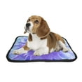 thumbnail image 2 of PKQWTM Big Blooming Flower Blue Dahlia Flower Pet Dog Cat Bed Pee Pads Mat Cushion Potty Dogsblankets Crate Bed Kennel 36x48 inch, 2 of 3