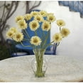 thumbnail image 2 of Nearly Natural Gerber Daisy Liquid Illusion Silk Flower Arrangement, Cream, 2 of 2