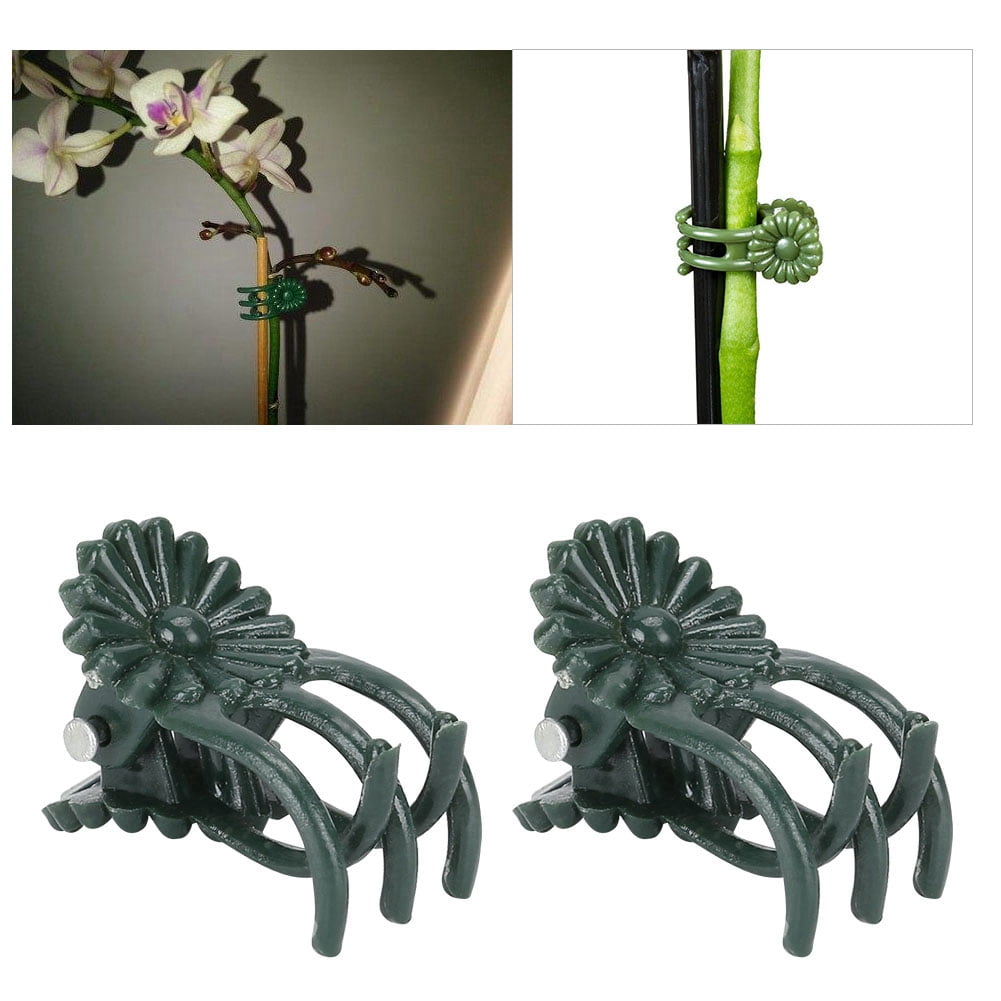 VIFERR Pince à Plantes 200 Pièces 1.1cm Pince à