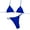 Blue-2, variant on Womens Swimsuits 2 Piece Triangle Bikini For Women Halter Bikini Sets Sexy High Cut Bathing Suit Side Tie