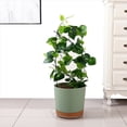thumbnail image 2 of Paquete de 8 Platillos Transparentes para Plantas, Platillos de Plástico para Plantas de 10 Pulgadas, Bandeja para Plantas Más Gruesa, Maceta para Jardín Interior y Exterior, 2 of 5