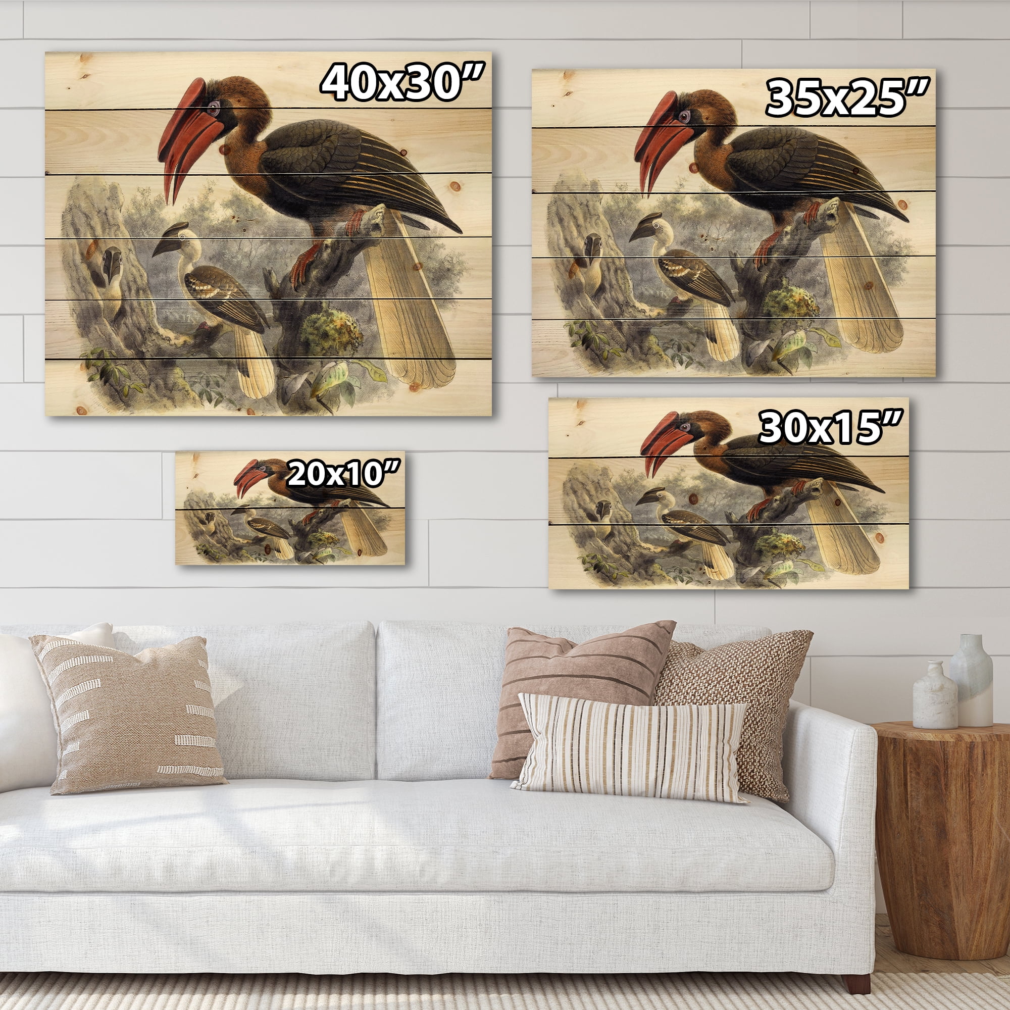 Designart 'Ancient Australian Birds XI' Traditional Print on Natural Pine Wood
