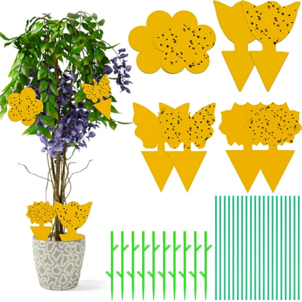 40 PCS Fruit Fly Sticky Traps Yellow Sticky Trap Indoor Outdoor Gnat