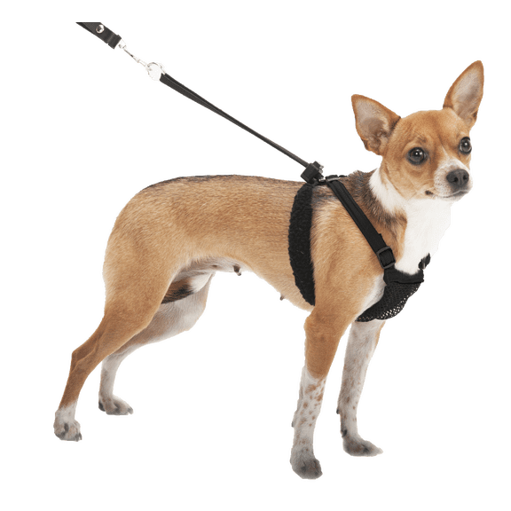 Sporn Mesh Nylon Non-Pulling Dog Harness, Black, XS ( 7" to 10" Chest Size)