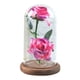 thumbnail image 5 of Xihbxyly Rosa Romántica de Cristal, Vidrio de Borosilicato Alto, Luces Led Alimentadas Por Usb, Base de Madera de Pino, Decoración para Bodas, Regalo Festivo, Ambiente Elegante, Tamaño 5.71X5.71X9.06, 5 of 5