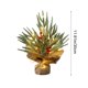 thumbnail image 3 of Árbol de Navidad de mesa iluminado de 12 pulgadas | Mini pino artificial con base de moros rojos, piñas y arpillera | Poliéster multicolor, ramas realistas | Decoración navideña perfecta para casa, 3 of 6