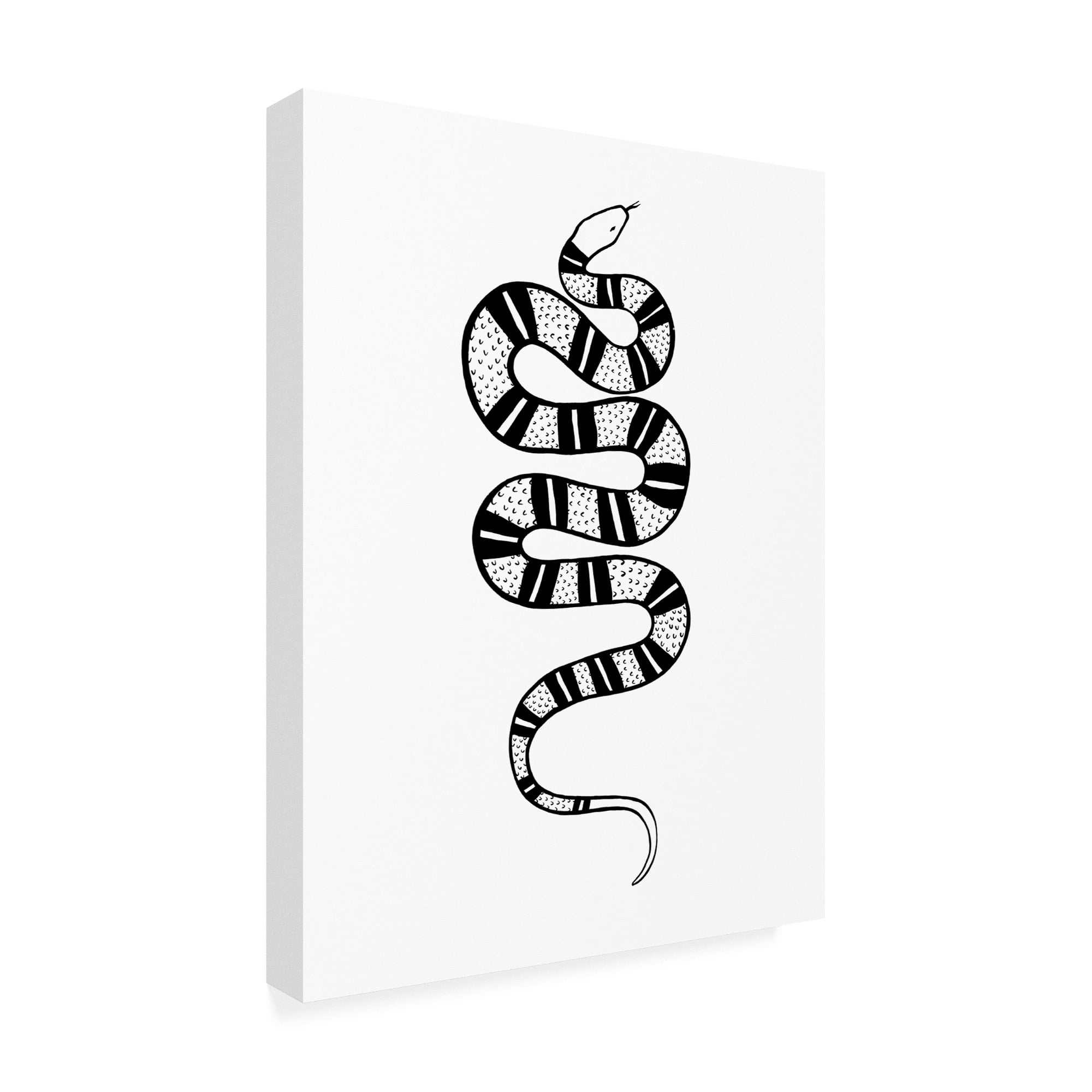 Trademark Fine Art 'Epidaurus Snake IV' Canvas Art by Emma Scarvey