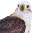 thumbnail image 2 of Pacific Giftware Wildlife Red Tailed Hawk Eagle Birds of Prey Figurine Statue 10 Inch, 2 of 2