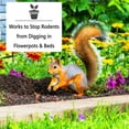 thumbnail image 6 of Nature's MACE Rodent Repellent 6 lb Granular Bag, for Mice, Rats, Squirrels, Chipmunks, 6 of 8