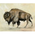 thumbnail image 2 of Vassileva, Silvia 14x12 Black Ornate Wood Framed with Double Matting Museum Art Print Titled - Bronze Buffalo, 2 of 4
