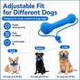 thumbnail image 6 of Dual-Action Canine Dental Prop, Dog Dental Chew Toy for Easier Teeth Brushing, Pet Oral Care for Small, Medium and Large Dogs (1PCS), 6 of 7