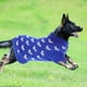 thumbnail image 3 of GOOHOCHY Suéter para perro, ropa para perro pequeño, suéter para mascota, estampado de corazón, ropa decorativa para perro pequeño (talla XS), 3 of 8
