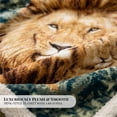 thumbnail image 4 of Korean Mink Blanket Queen Size, Animal Print - Thick Heavy Korean Blanket - 5 LB Heavy Fleece Mink Style, 95"x 79", (Lion), 4 of 7