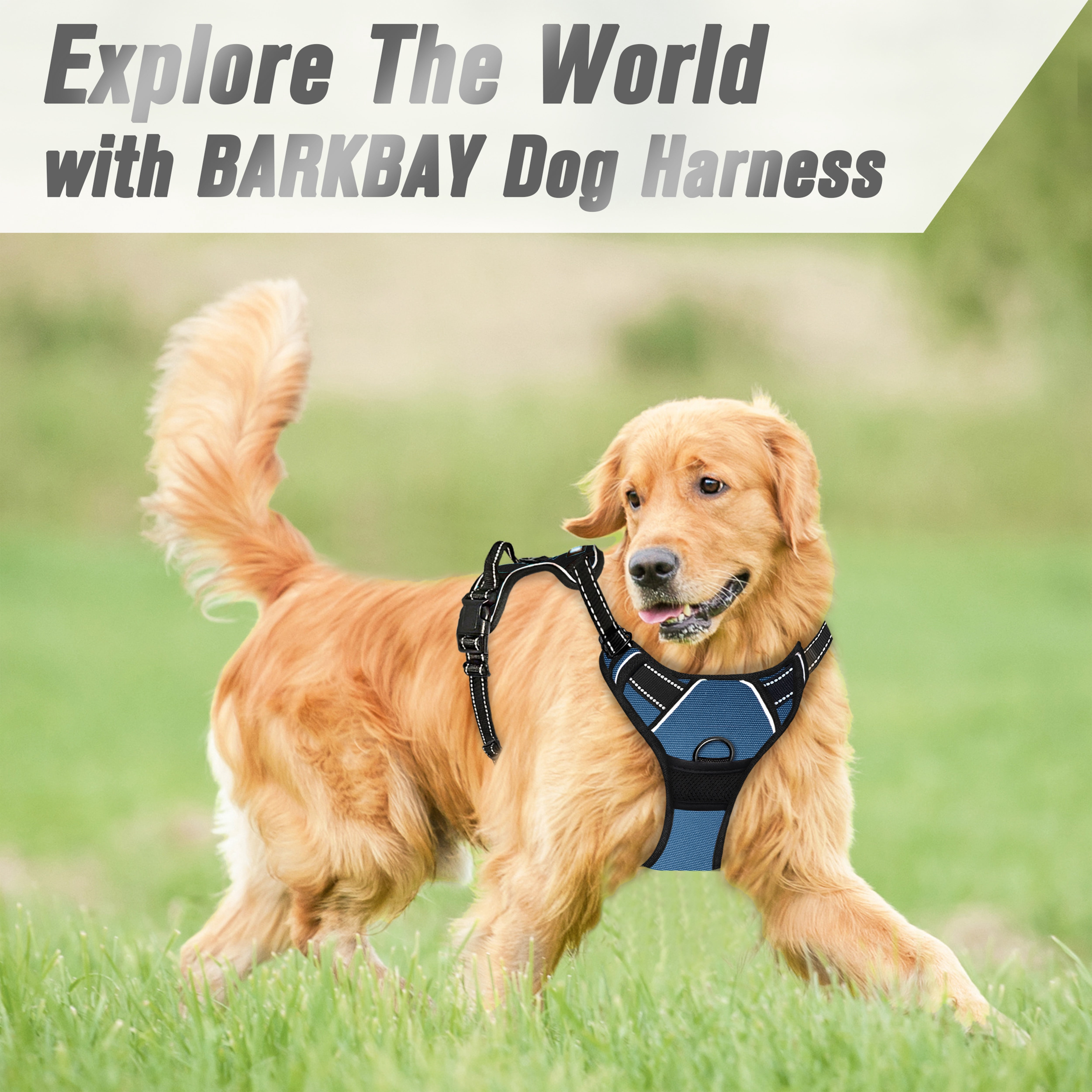 BARKBAY No Pull Dog Harness Front Clip Heavy Duty Reflective Easy Control Handle for Large Dog Walking(Navy,L)