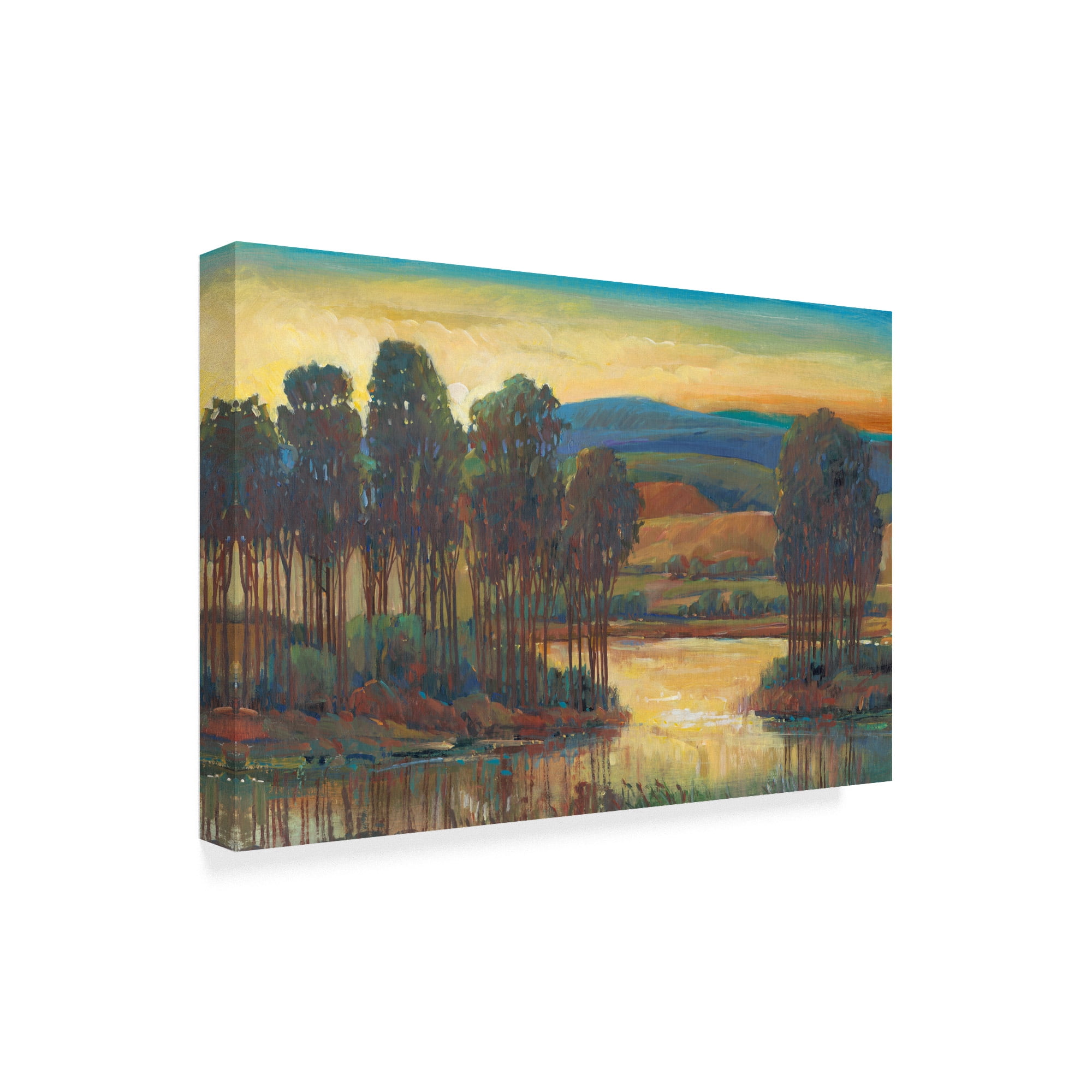 Trademark Fine Art 'Open Inlet I' Canvas Art by Tim OToole