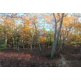 thumbnail image 2 of Goldwitz, Robert 24x17 White Modern Wood Framed Museum Art Print Titled - Late afternoon on the Ridge, 2 of 4