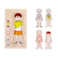 thumbnail image 1 of Rompecabezas De Estructura De Cuerpo Humano, Rompecabezas De Cuerpo De Madera Multicapa, Juguete Educativo Noticed FN007592-01, 1 of 5
