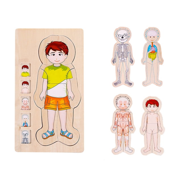 Rompecabezas De Estructura De Cuerpo Humano, Rompecabezas De Cuerpo De Madera Multicapa, Juguete Educativo Noticed FN007592-01