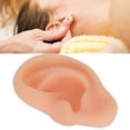 thumbnail image 5 of Modelo de oreja, modelo de oreja simulada profesional, herramienta de enseñanza de oreja, modelo de acupuntura de oreja, grado profesional, 5 of 5
